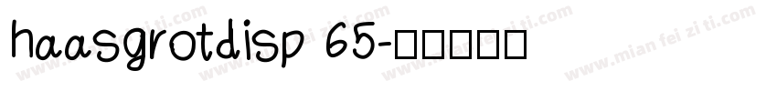haasgrotdisp 65字体转换